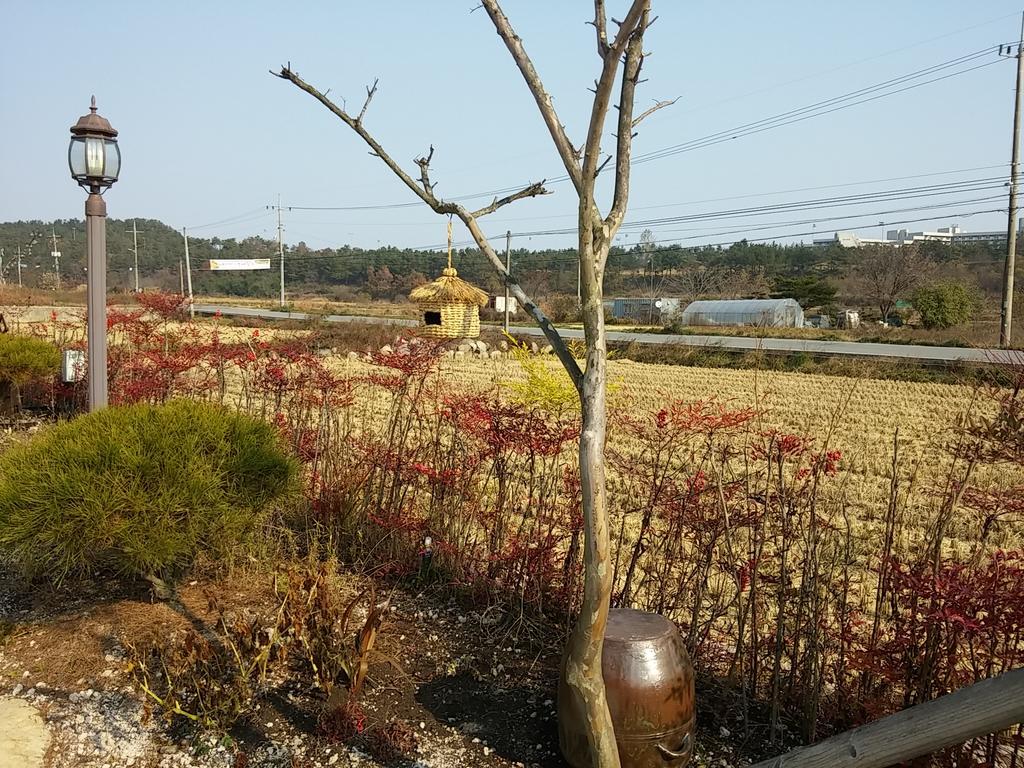 Starlight Journey Pension Gyeongju Buitenkant foto