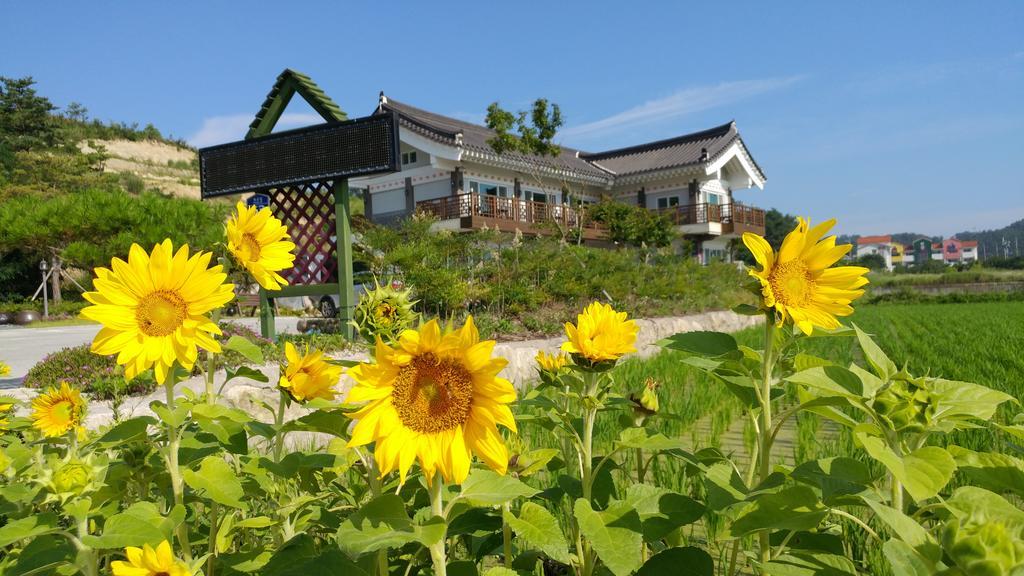 Starlight Journey Pension Gyeongju Buitenkant foto